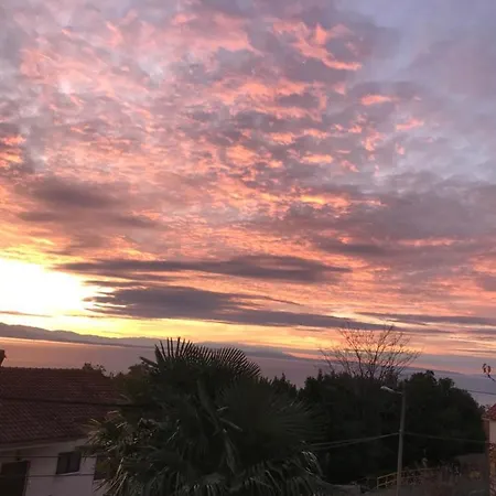 Lavanda * 오파티아