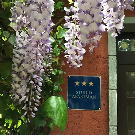 Apartament Lavanda